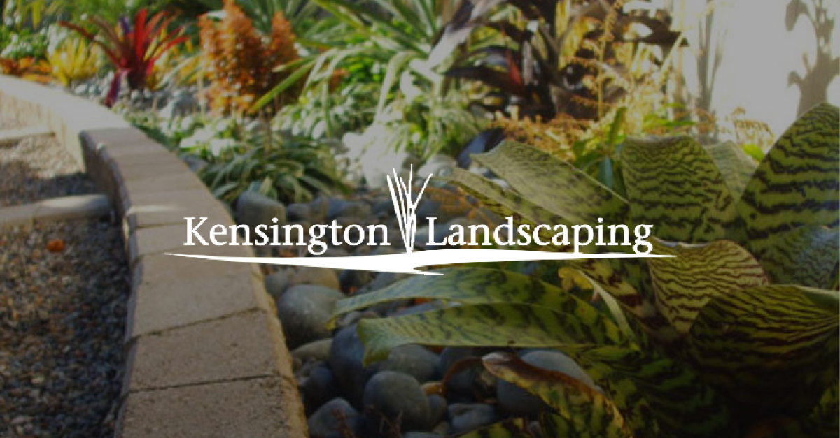 Kensington Landscaping Professional Landscaper Auckland